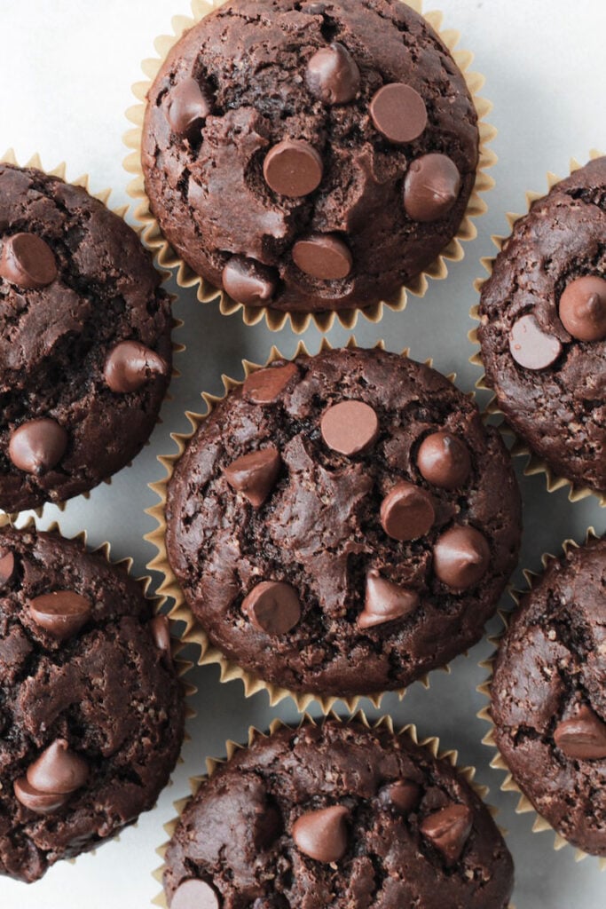 Top down shot of double chocolate chip muffins.