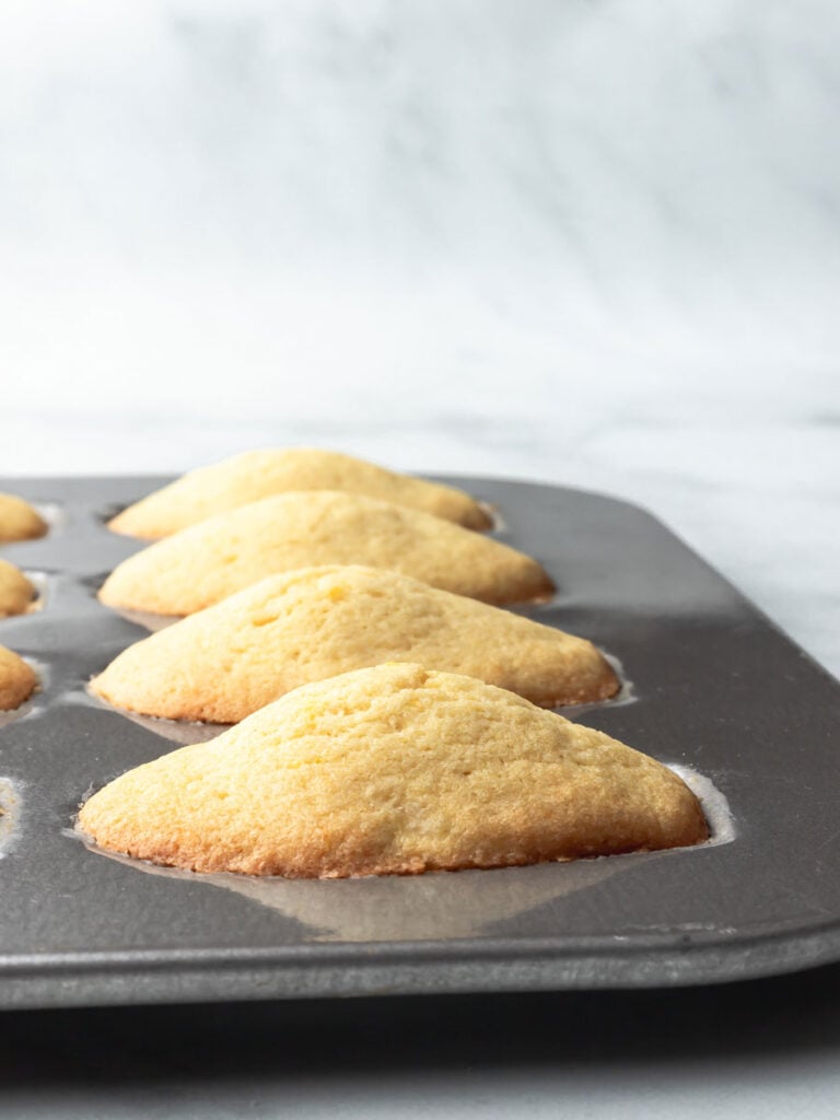 Freshly baked lemon madeleines inside of the baking pan.