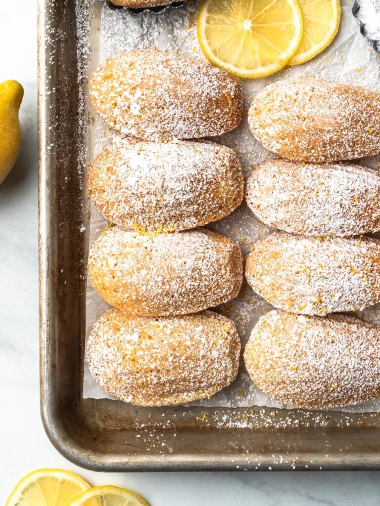 Close up of lemon french madeleines cakes on a sheet pan with powdered sugar dusted over top.