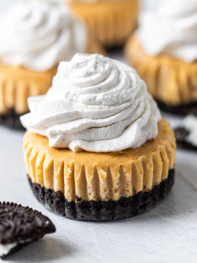 Close up of mini pumpkin cheesecake with whipped cream topping.