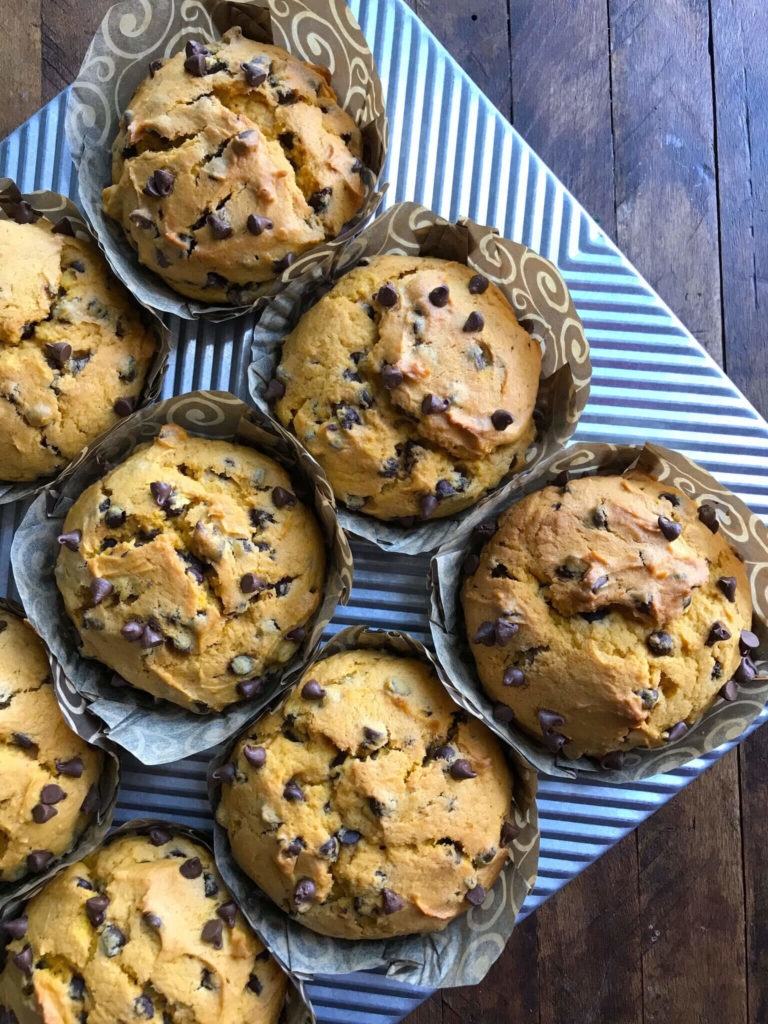 top down shot of Chocolate Chip Pumpkin Muffins