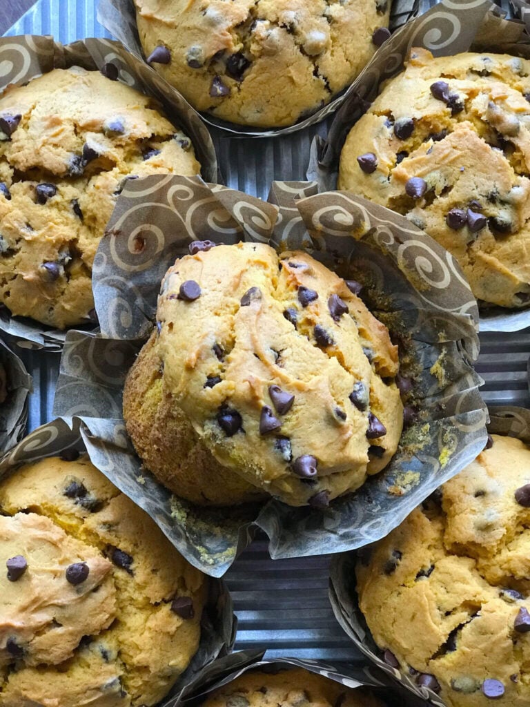 Chocolate Chip Pumpkin Muffins