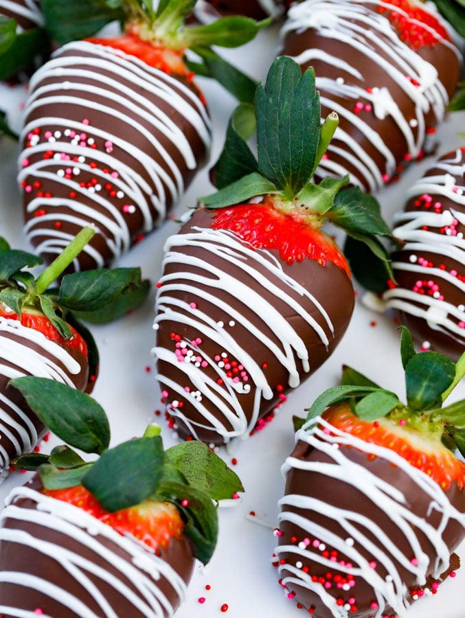 rows of Easy Chocolate Covered Strawberries.