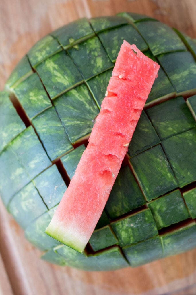 stick of watermelon