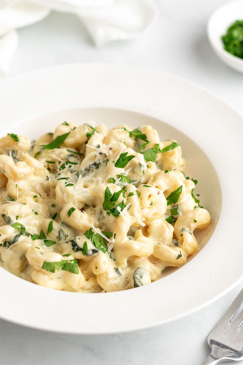 spinach mac and cheese on a white plate topped with parsley and cheese