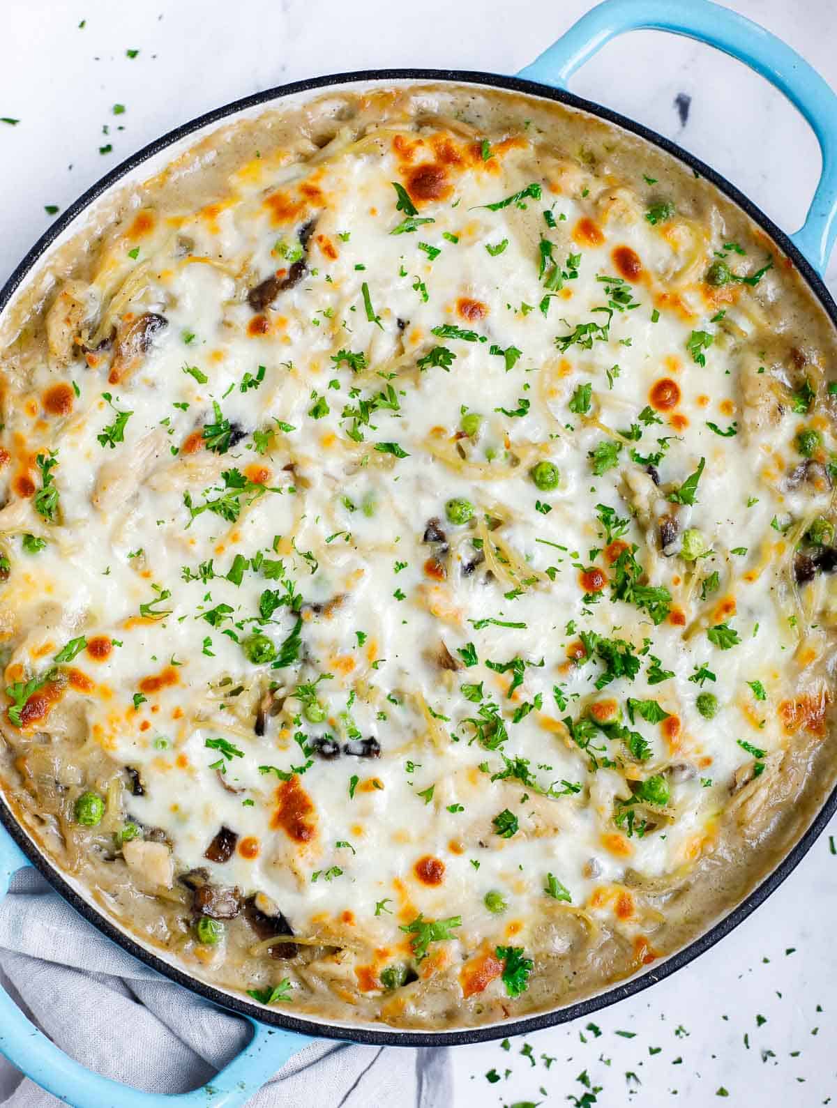 Baked chicken tetrazzini with golden brown cheese on top.