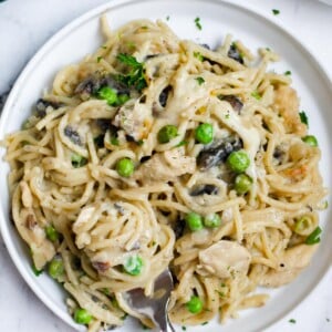 A plate of chicken tetrazzini with a fork inside.