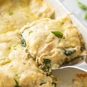 A slice of Creamy Chicken Lasagna being lifted from the pan.