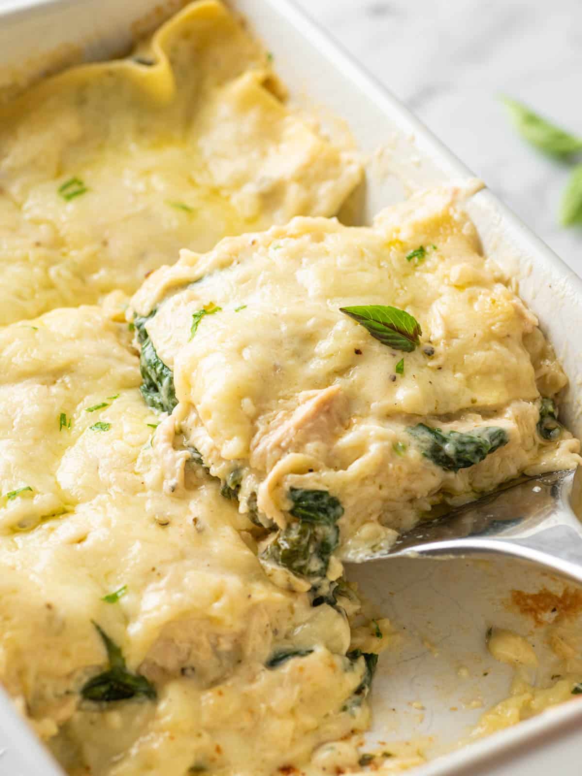 A slice of Creamy Chicken Lasagna being lifted from the pan.