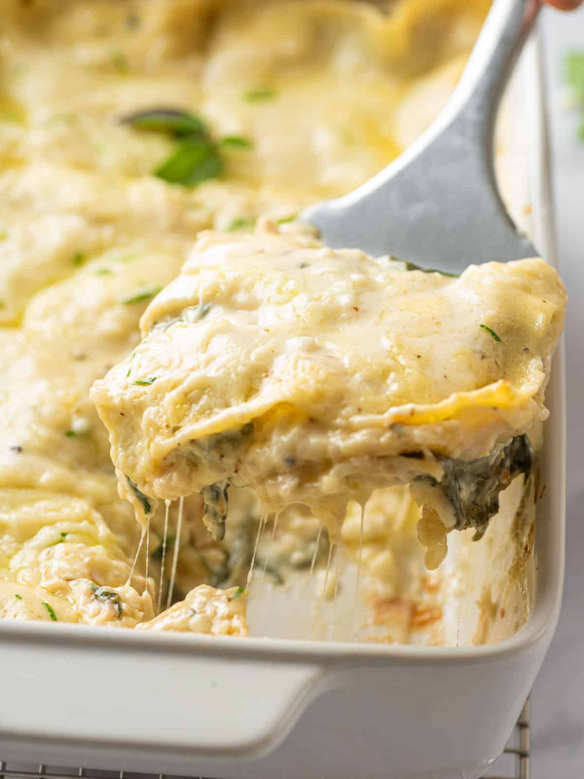 A slice of Creamy Chicken Lasagna being lifted from the pan.