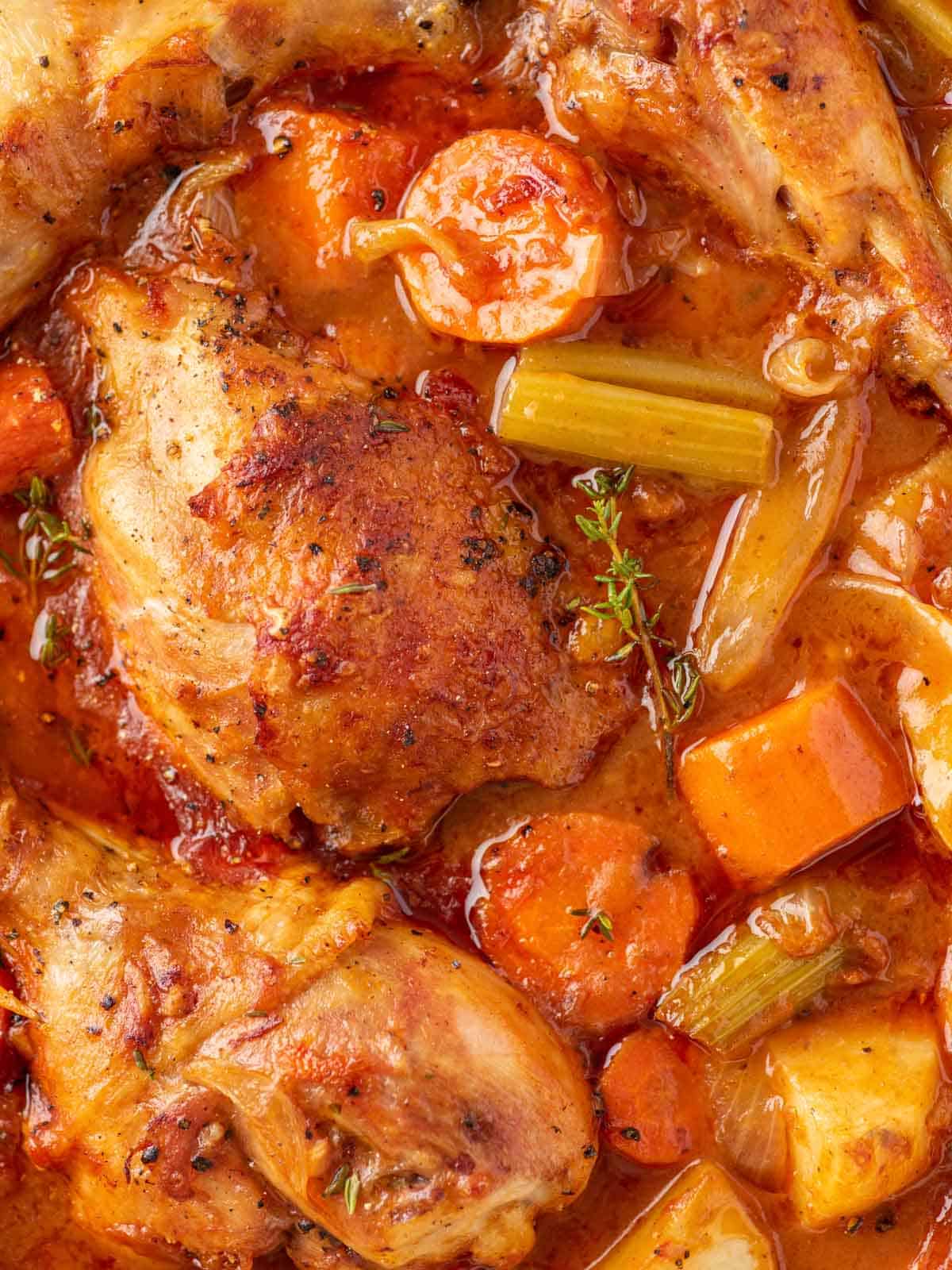 Close up shot of chicken stew with veggies