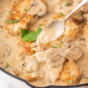 spoon applying stroganoff sauce to a piece of chicken