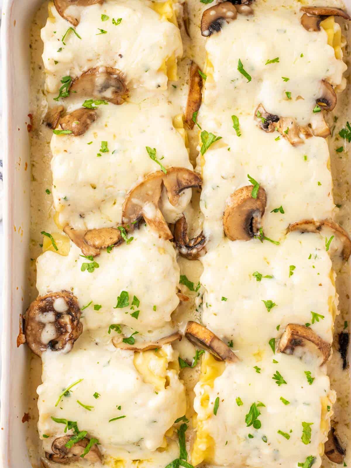 Chicken alfredo roll ups in a baking dish ready to serve.