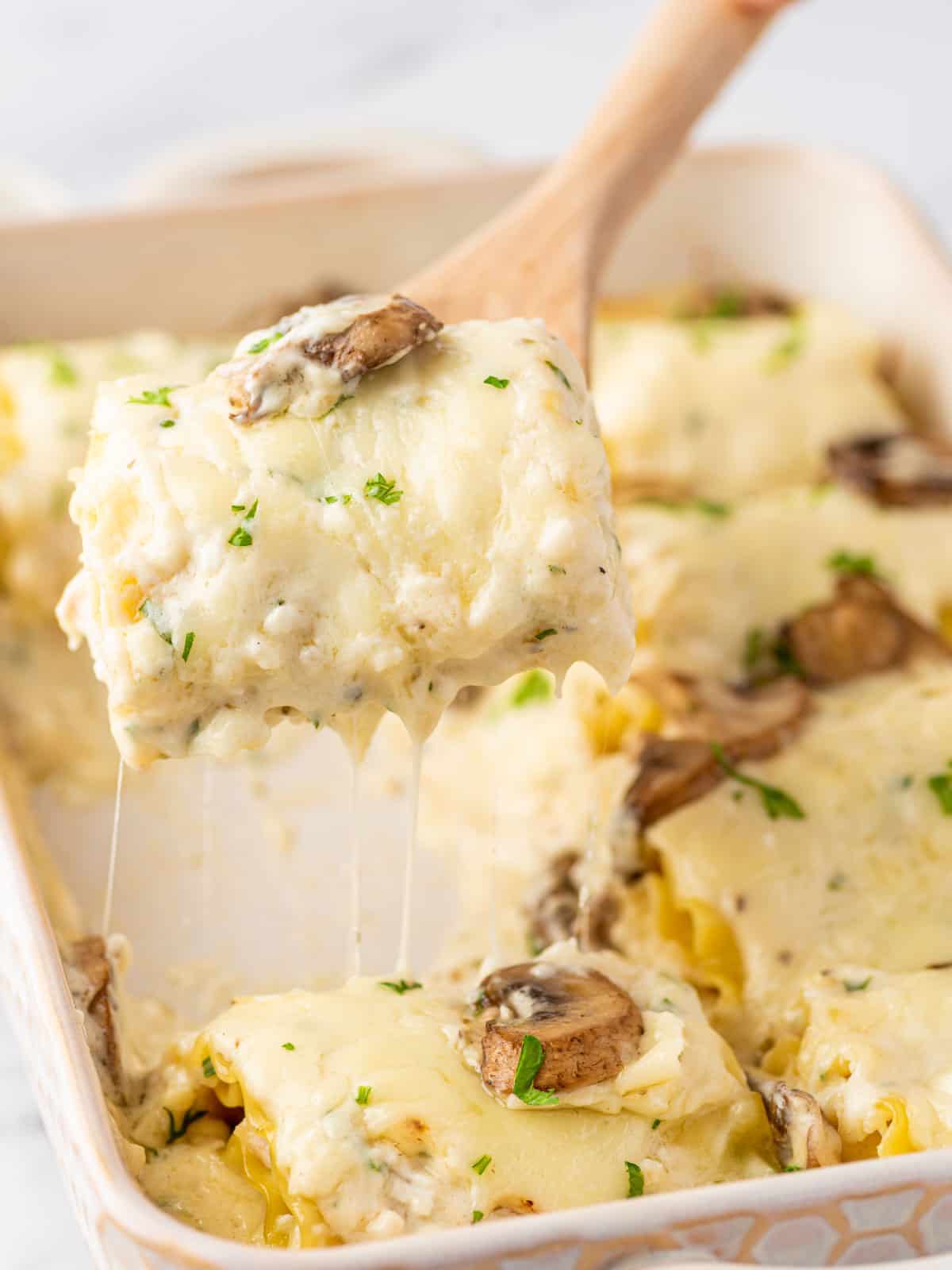 A casserole of alfredo roll ups with on roll on a wooden spoon for serving.