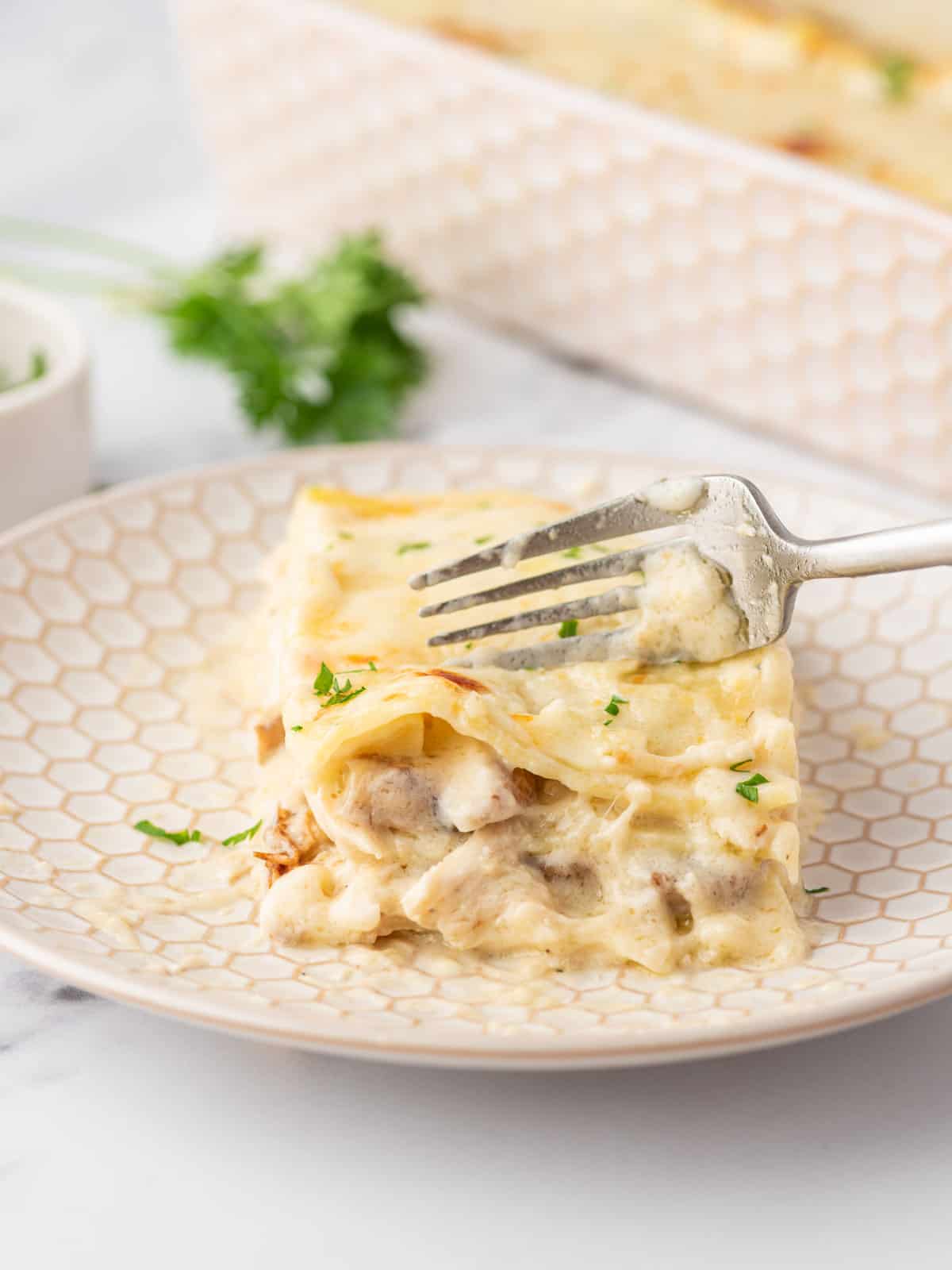 Chicken lasagna with white sauce on a plate as a fork cuts into it.