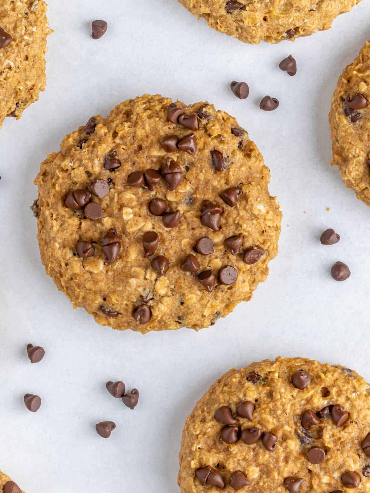 Overhead view of a healthy chocolate chip oatmeal cookie with chocolate chips scattered around.