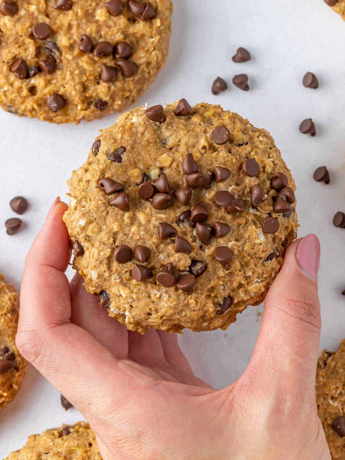 Hand holding one healthy chocolate chip oatmeal cookie.