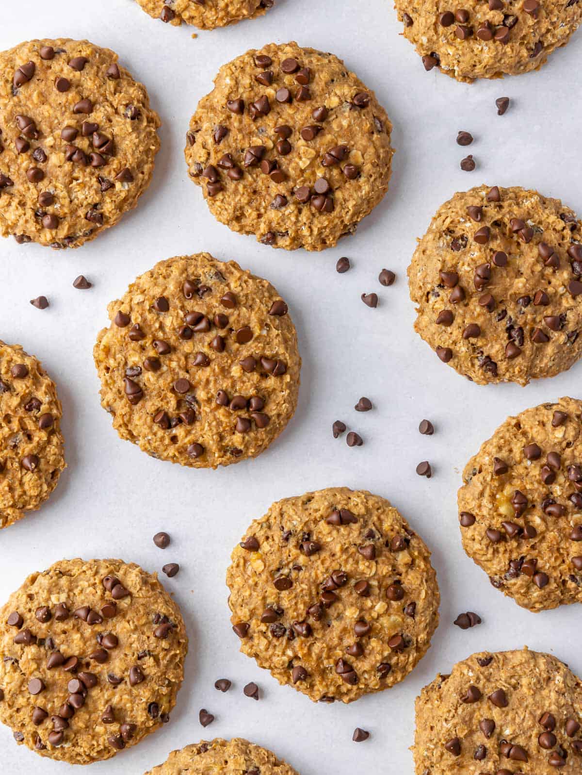 Multiple healthy chocolate chip oatmeal cookies in a single layer with mini chocolate chips on top.