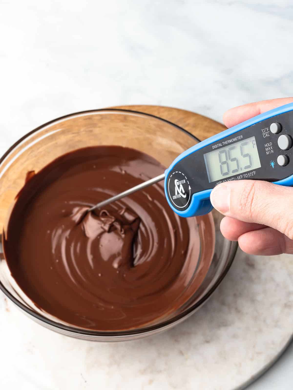 The Ultimate Chocolate Blog: Digital Thermometers: A MUST-HAVE when  learning to work with chocolate