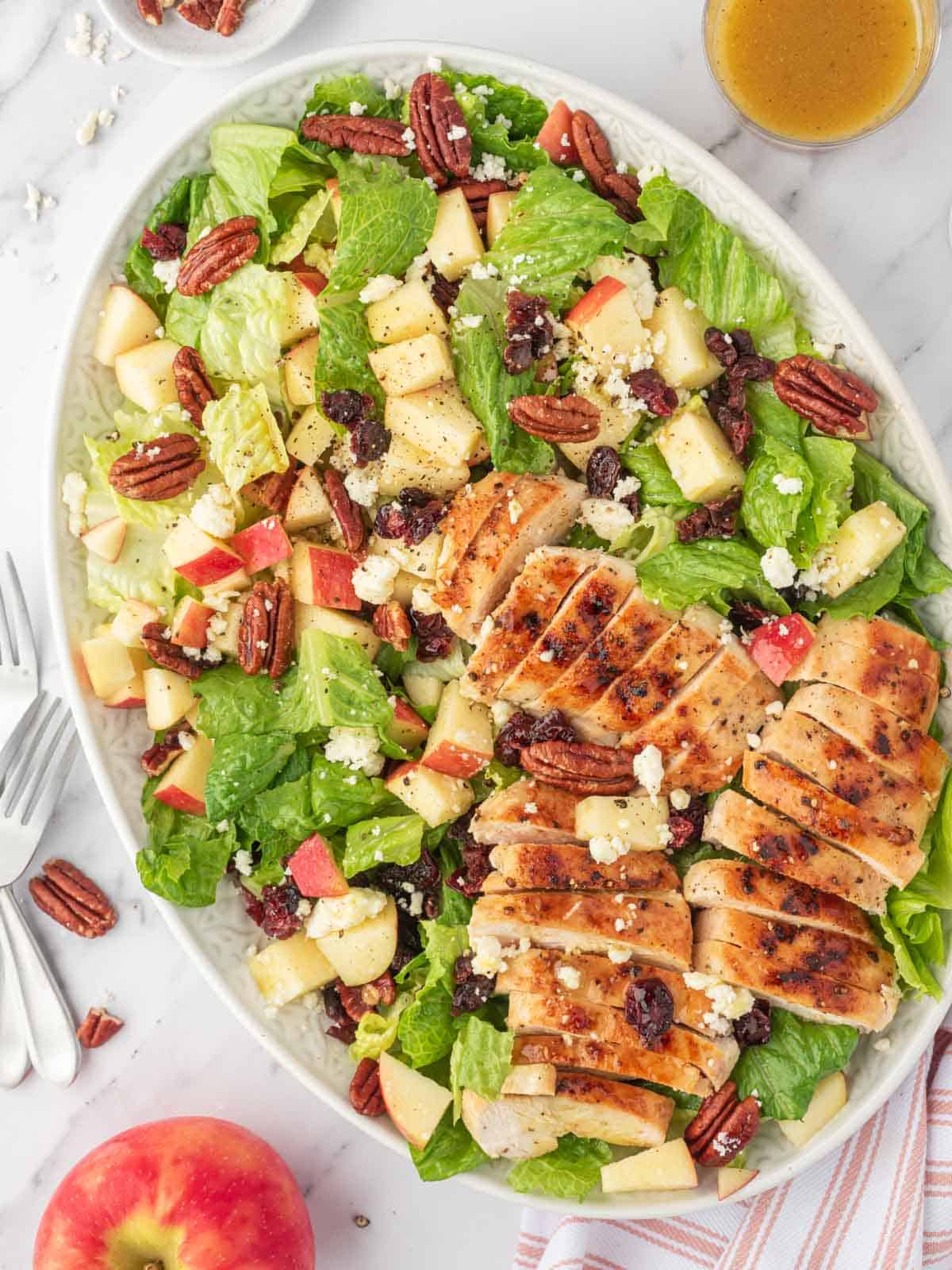 A platter of healthy autumn chicken salad with apples and cranberries.
