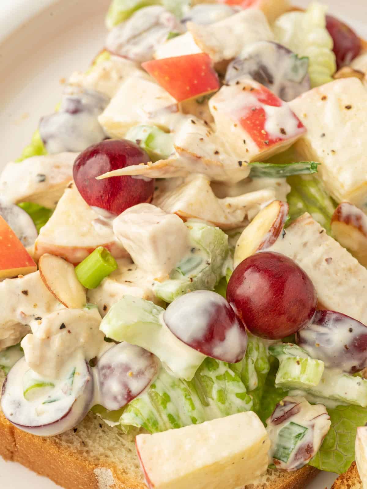 Close up of chicken salad.