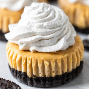 Individual pumpkin cheesecake with a chocolate Oreo base and piped spiced cream.