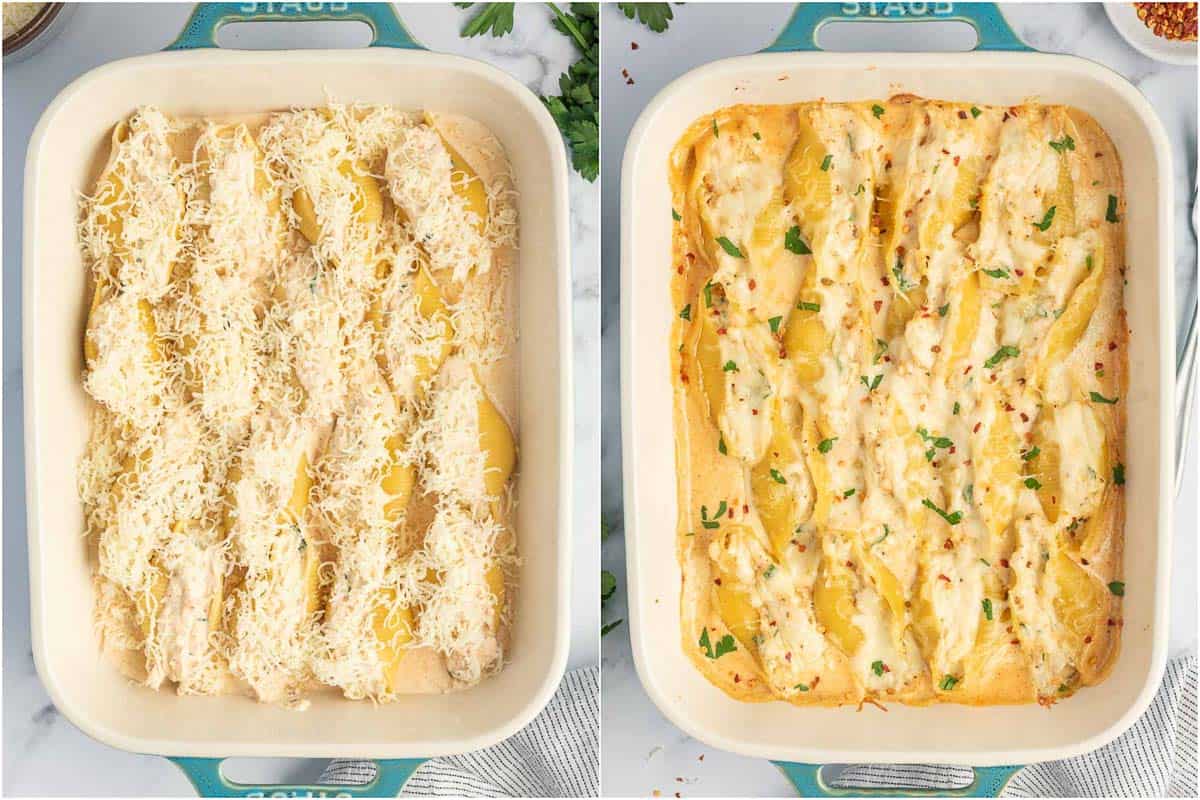 Cajun chicken stuffed shells with alfredo sauce and cheese baked in the oven.