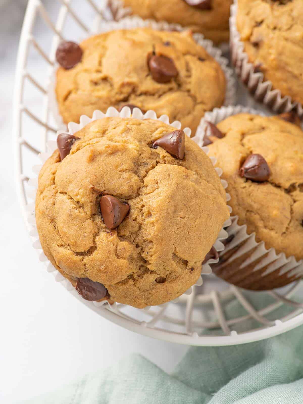 Close up of a gluten free muffin.