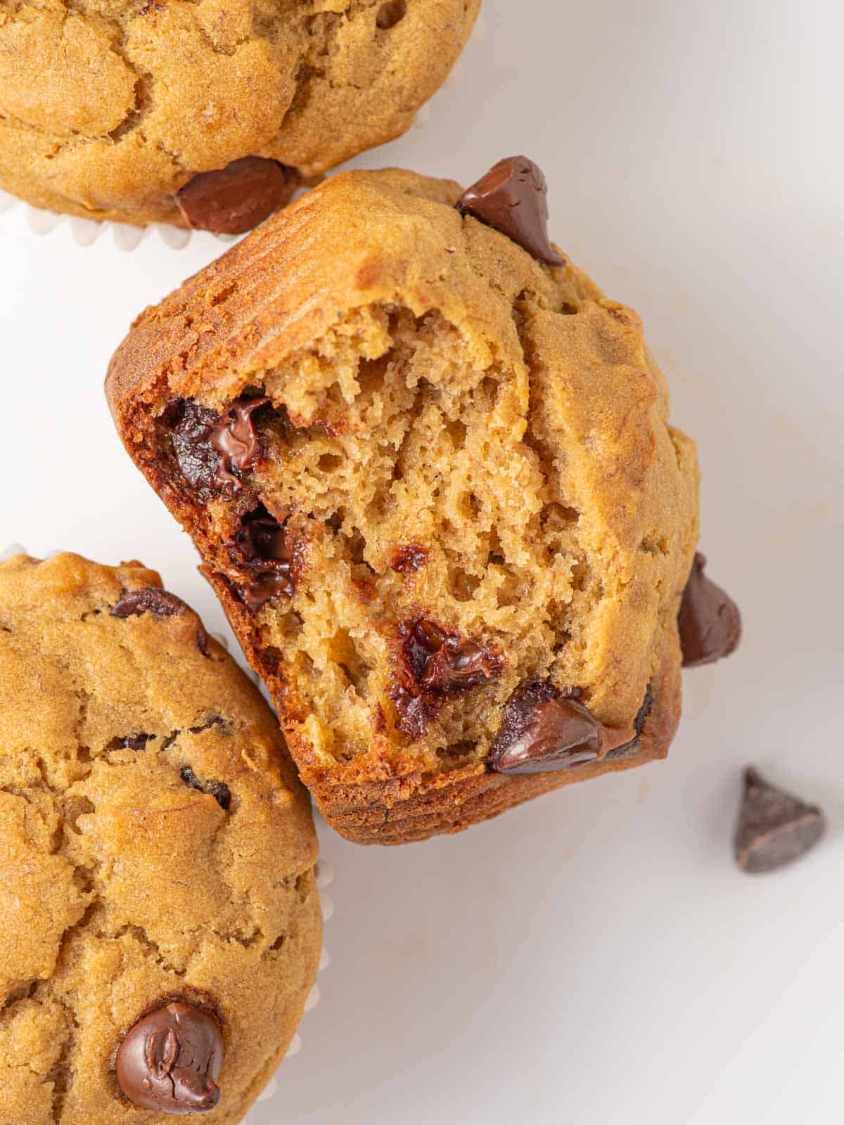 A bite taken out of a gluten free muffin with chocolate chips.