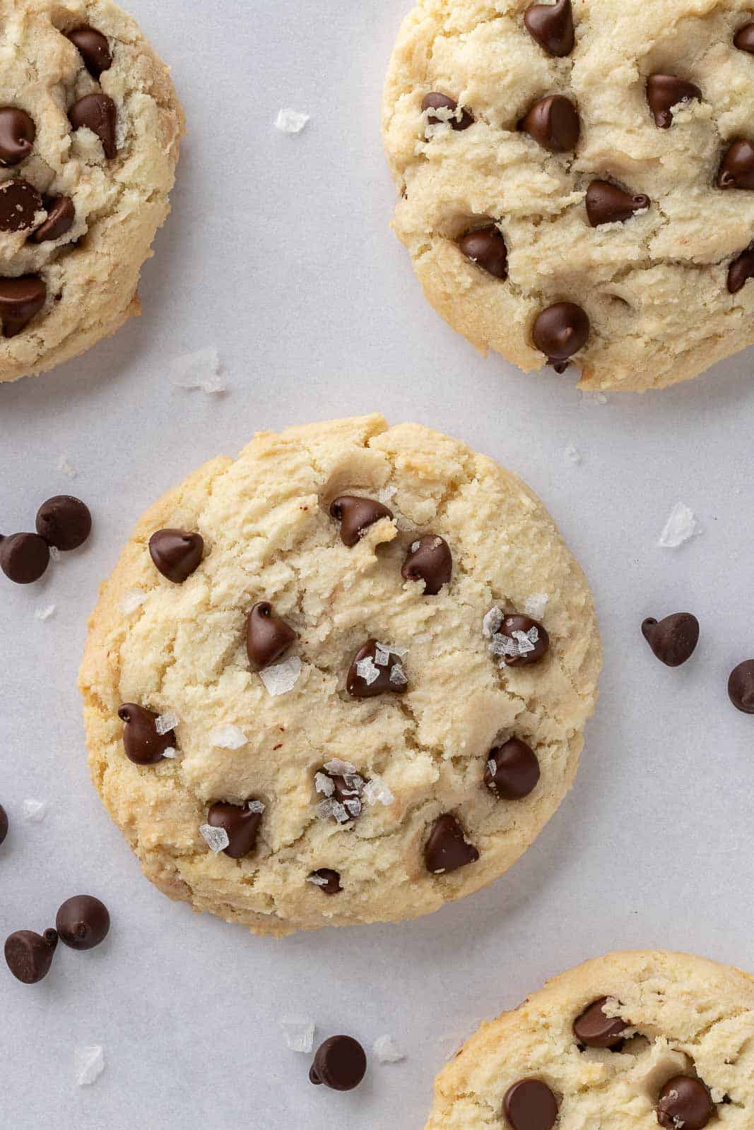 Chocolate chip cookies on a tray.