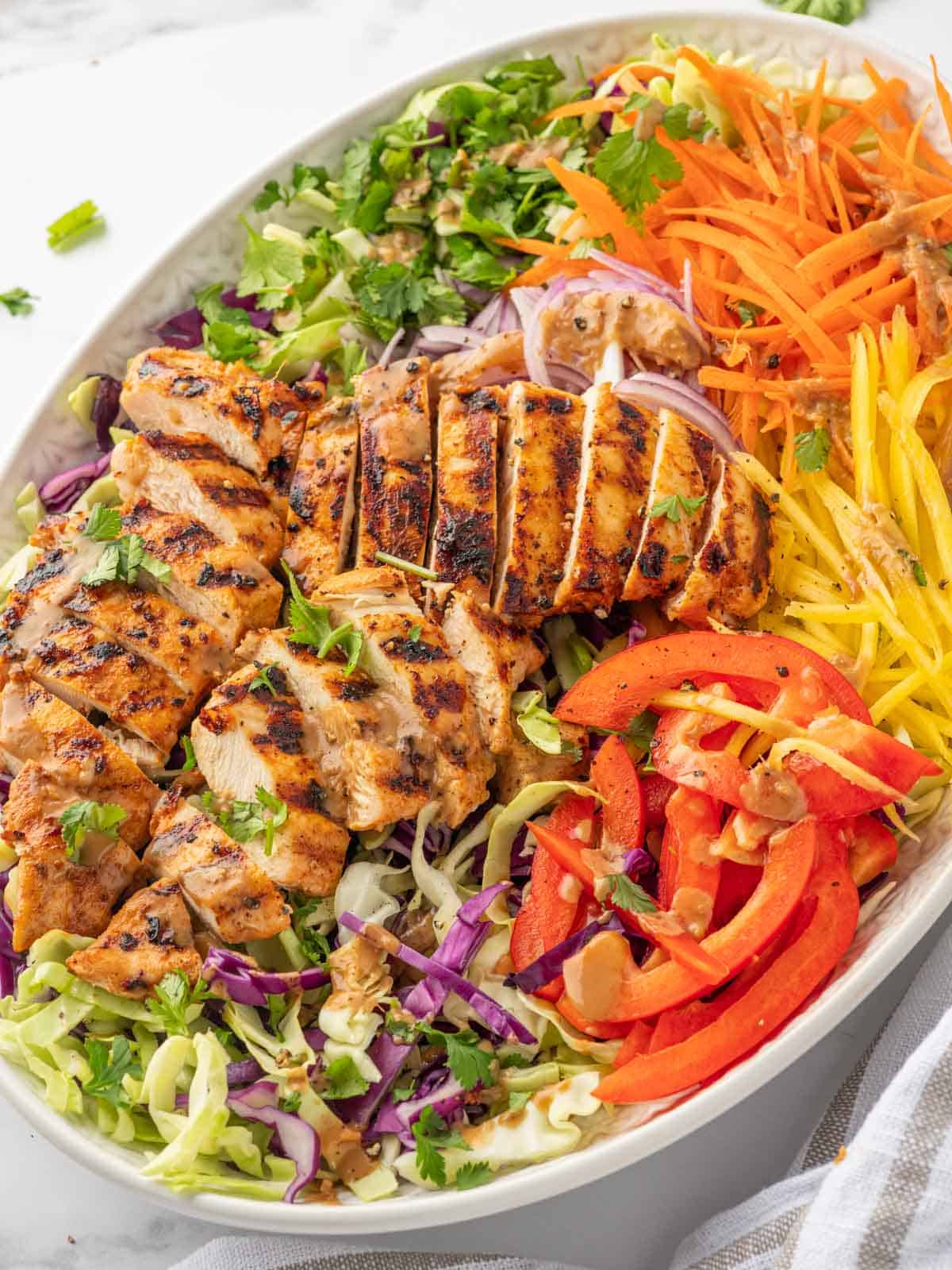 Sliced grilled chicken and mango salad.
