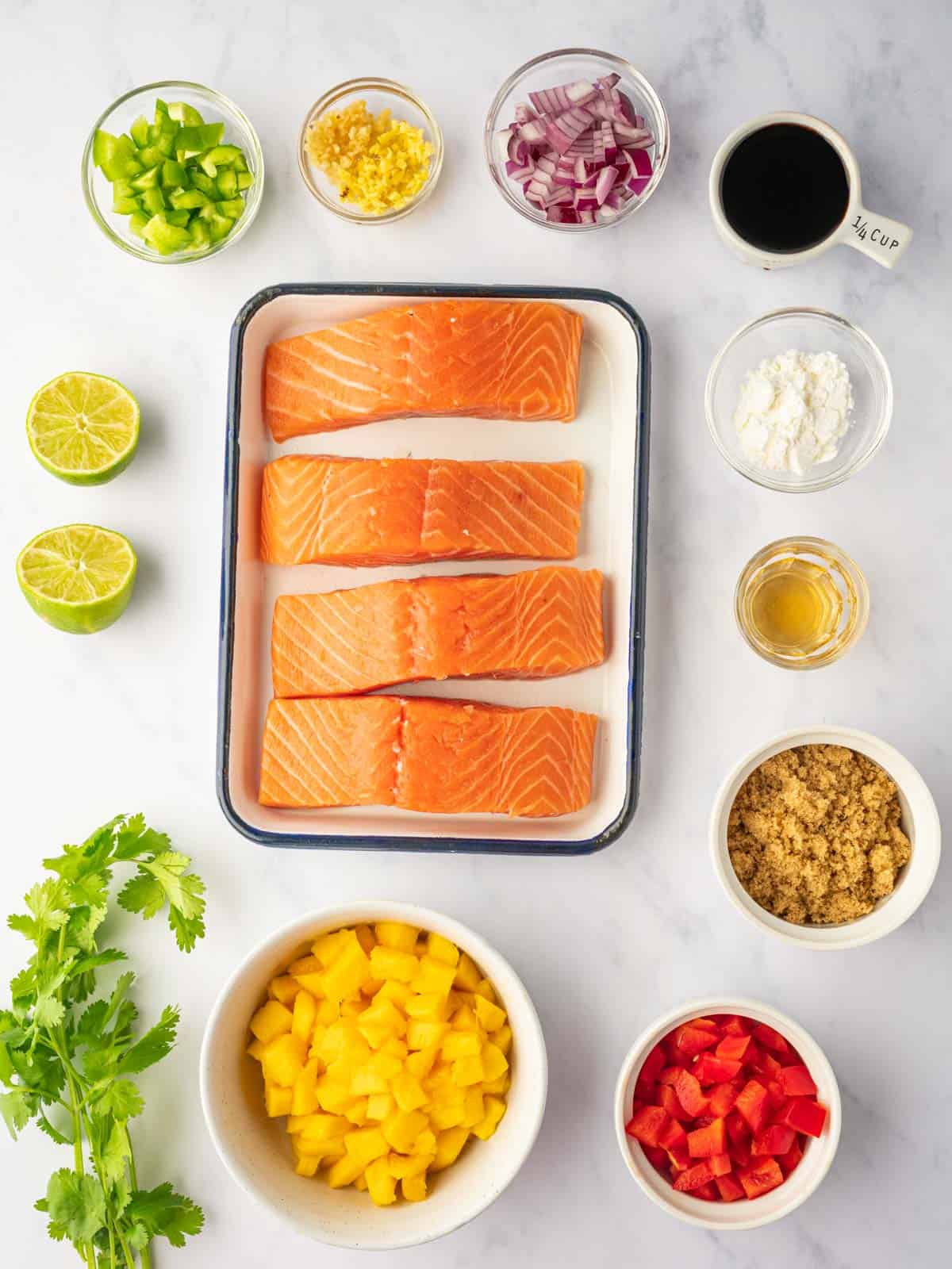 Ingredients needed for grilled teriyaki salmon.