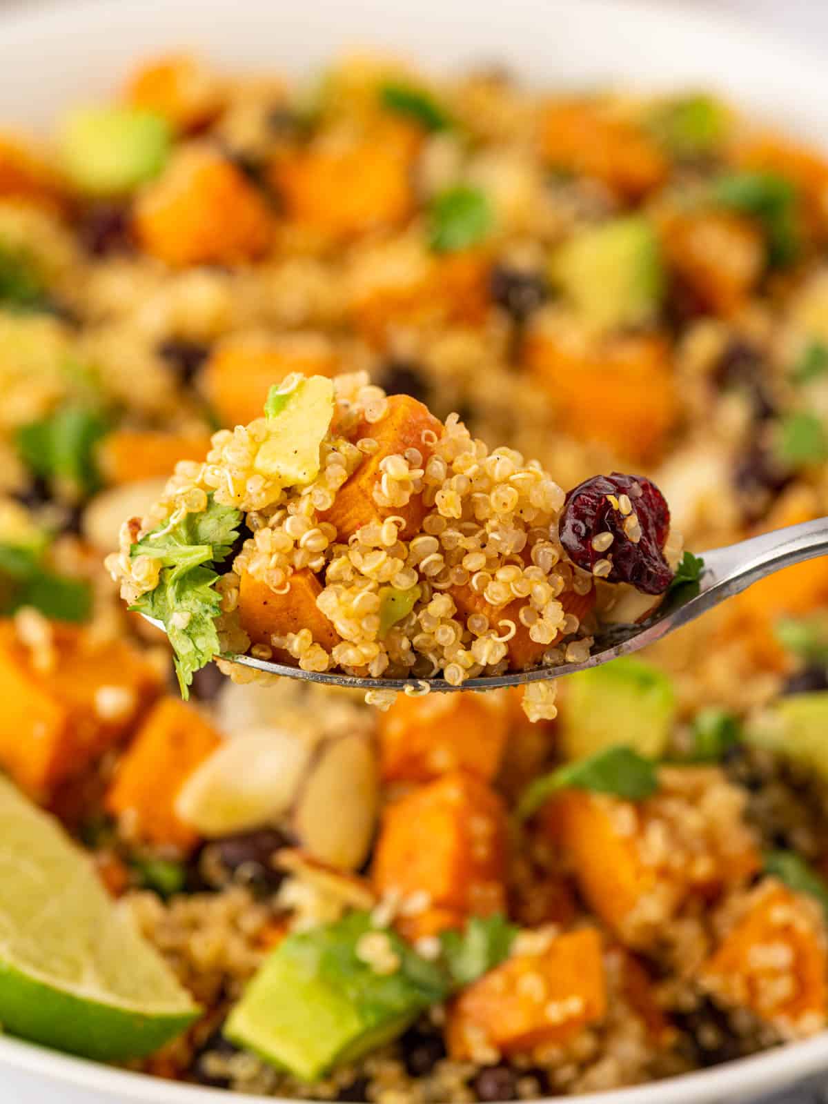 A spoon lifts a bite of quinoa and sweet potato salad.