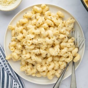 A serving of cheesy pasta on a plate.