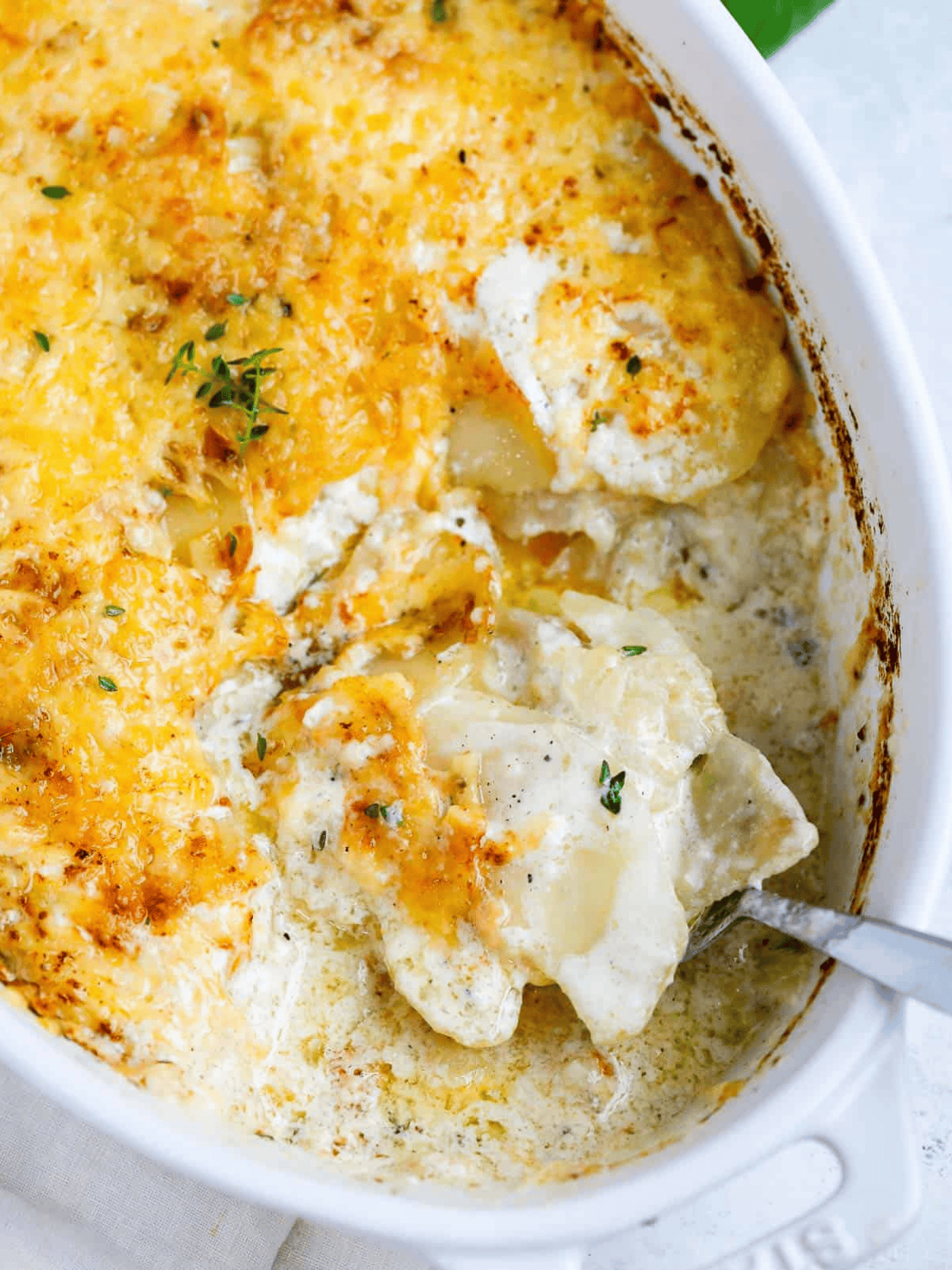 Creamy Au Gratin Potatoes with a golden cheese topping.