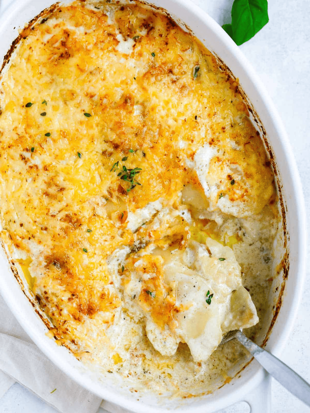 Creamy potato layers served from beneath a golden cheese topping.